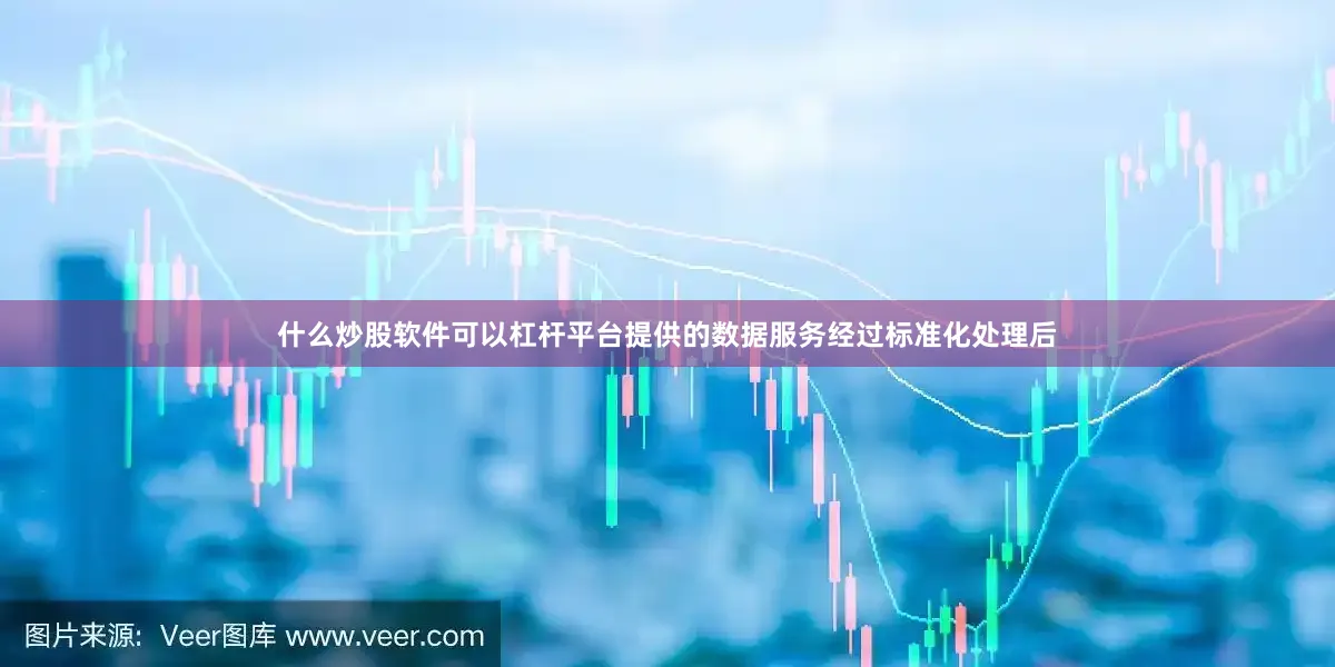 什么炒股软件可以杠杆平台提供的数据服务经过标准化处理后
