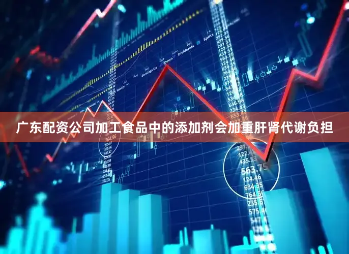 广东配资公司加工食品中的添加剂会加重肝肾代谢负担