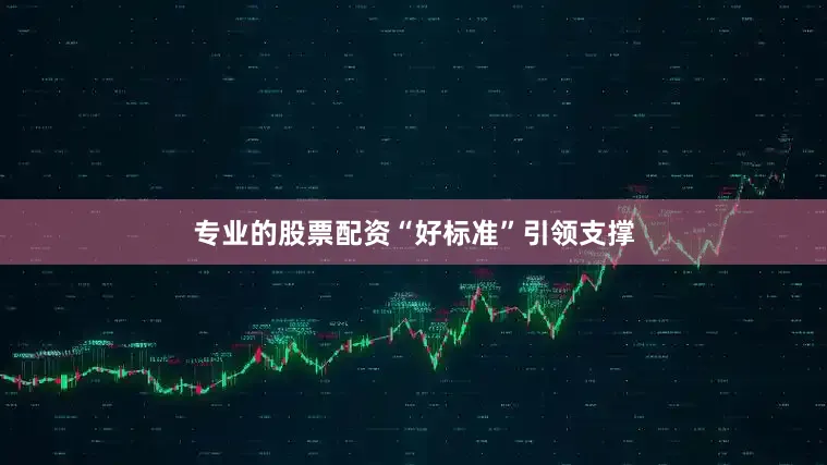专业的股票配资　　“好标准”引领支撑