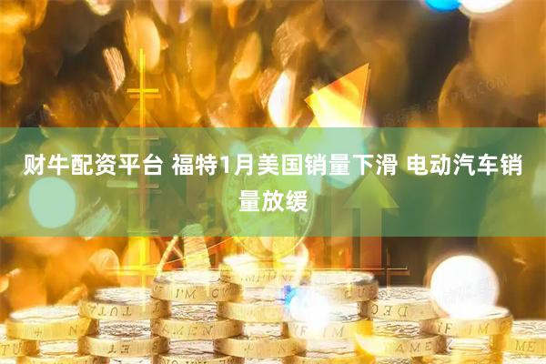 财牛配资平台 福特1月美国销量下滑 电动汽车销量放缓